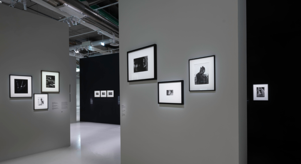 Au Centre Pompidou, l’exposition « Corps à Corps : Histoire de la photographie » interroge la question du regard qu’on porte à l’autre